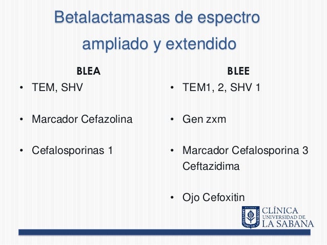 betalactamasas de espectro extendido